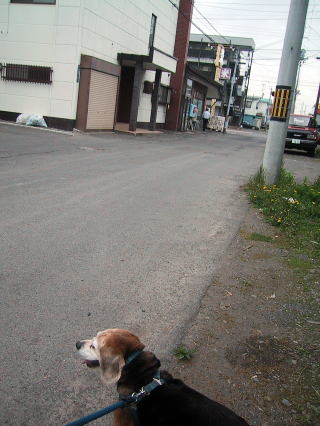 5年前になります。