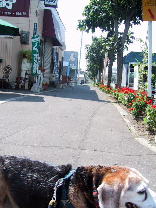 ちょっときつかったです。