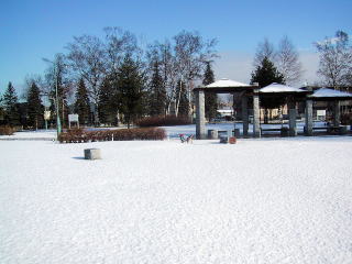 雪だー。