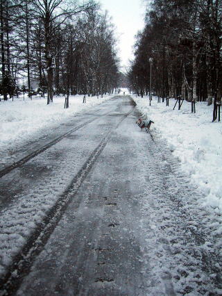 降りましたねー遠慮なしに!