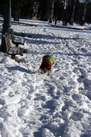 天気が良いですけど寒い!