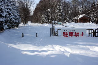 道が無い。