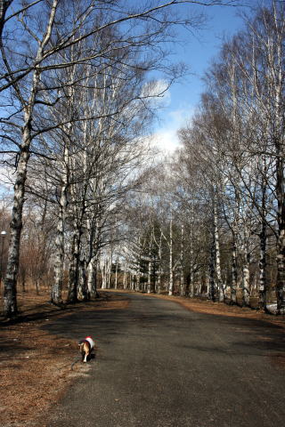 晴れです。