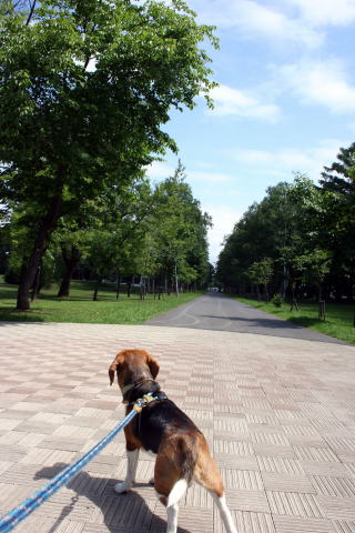 今日は、お天気いいですね。