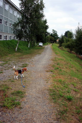 秋ですねー。