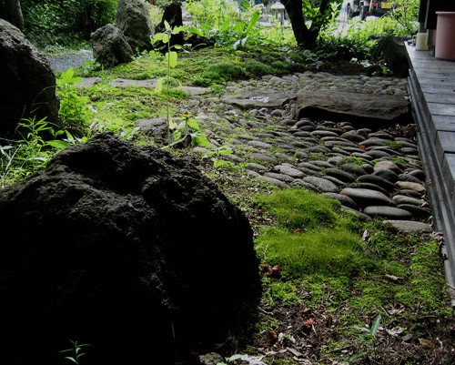 瀧と池と森がある庭の10年後