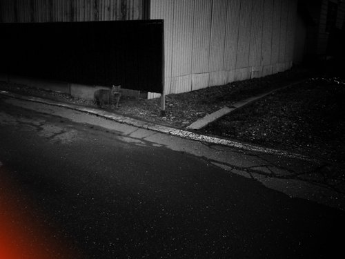 そうか、