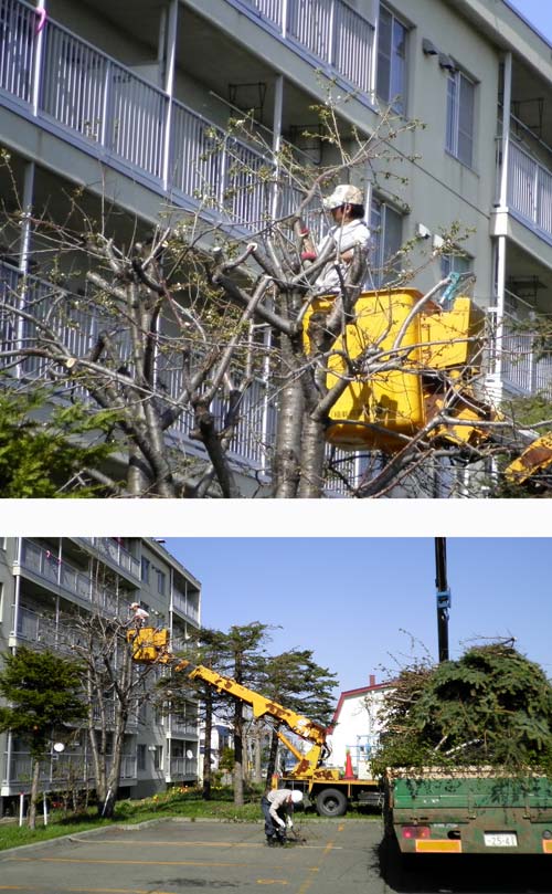 花も水も木も爽やかに