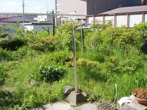 人の力で庭づくり。