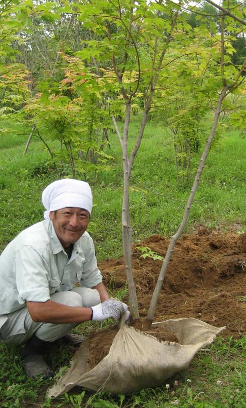 植栽は楽し