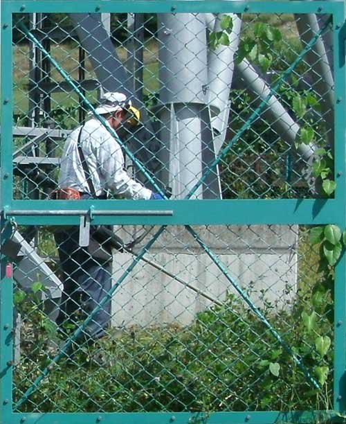 檻の中