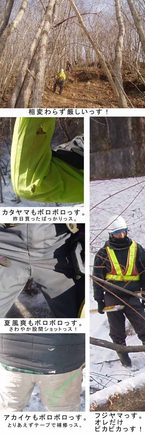 ボロボロで