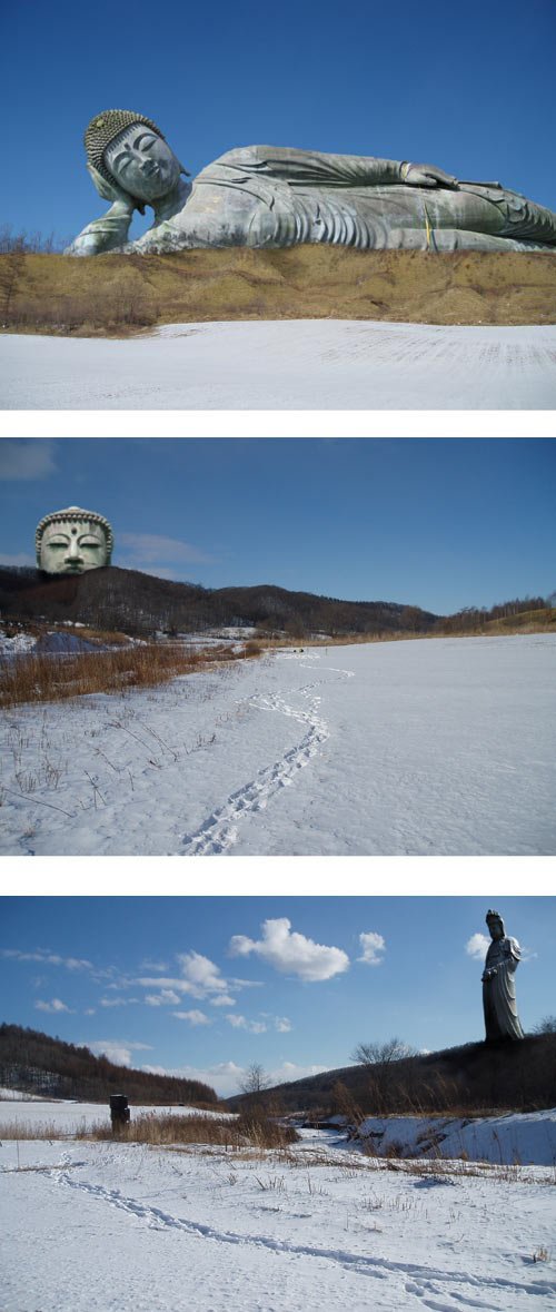 悟り悟られ好き好かれ