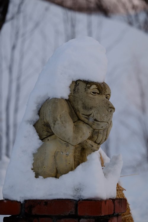 風雪の後で