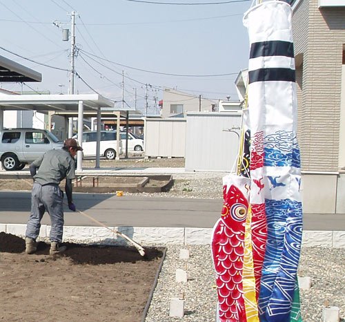 日々此好日