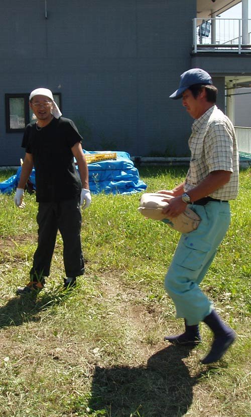 野の花のごとく