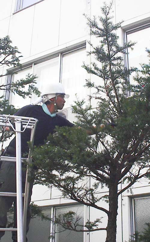 毎朝私は