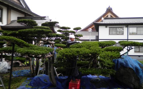 学ぶ心