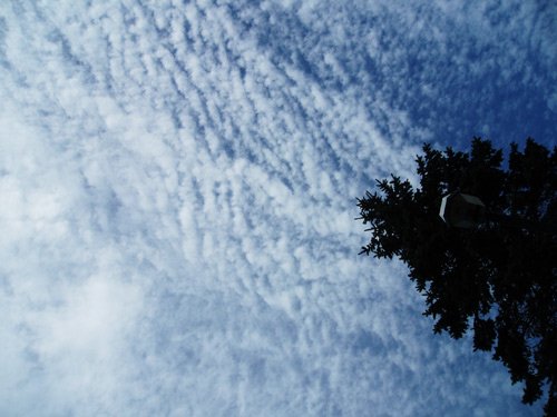 雲の如く
