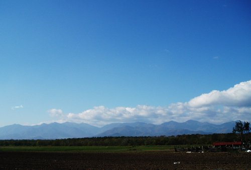 土と草