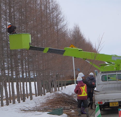 庭の追憶