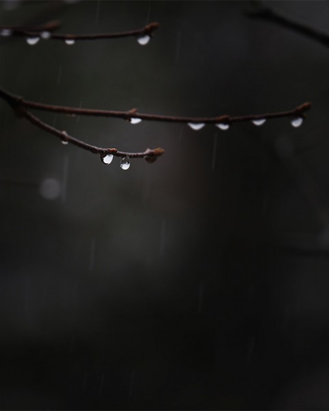 雨には勝てず