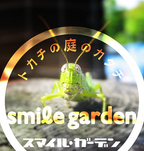 ある時