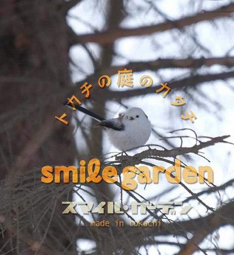 りんご