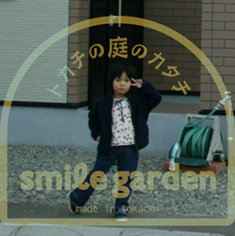 コスモスが　さいた