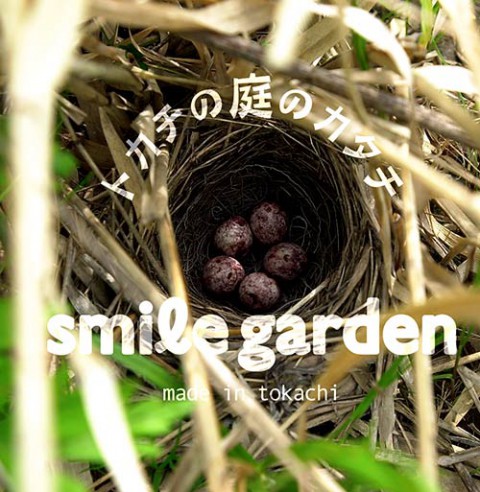 いぬ