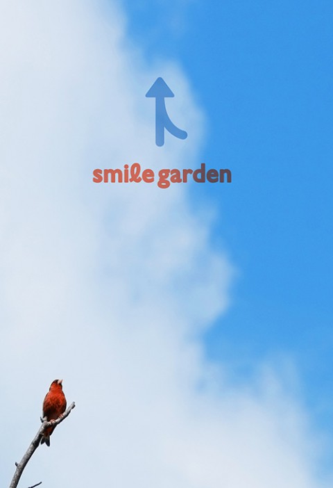 草をむしる
