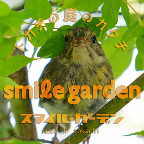 もとめるもの