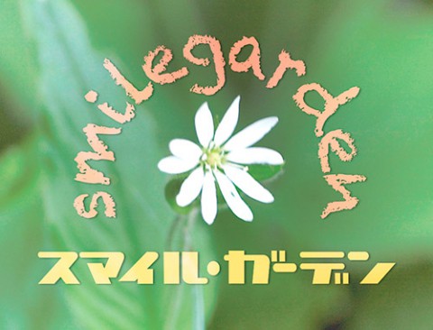 森