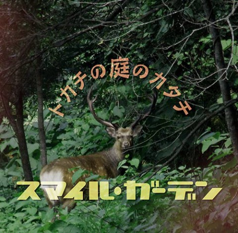 新たなもの