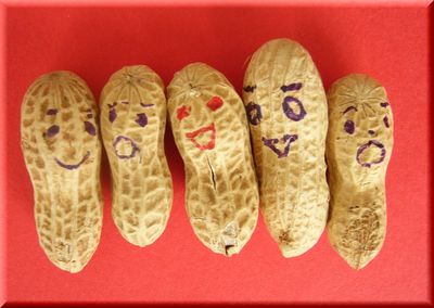 不評でした（残念）