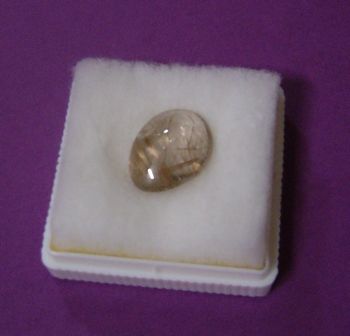 暑いのに、ホルモン鍋なんて