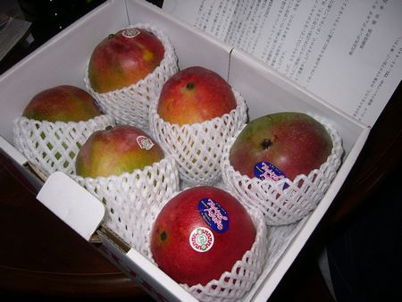 マンゴーが届いたのよ