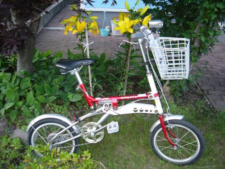 日焼けに注意しましょうネ