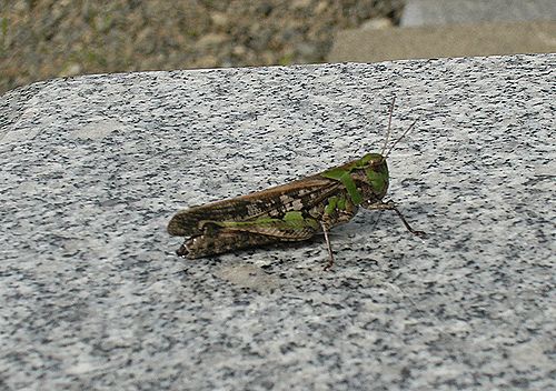 寒い一日でした・・さむ～い