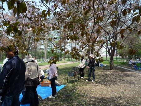 お花見♪緑ヶ丘公園