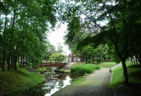 津田公園・・・晩夏