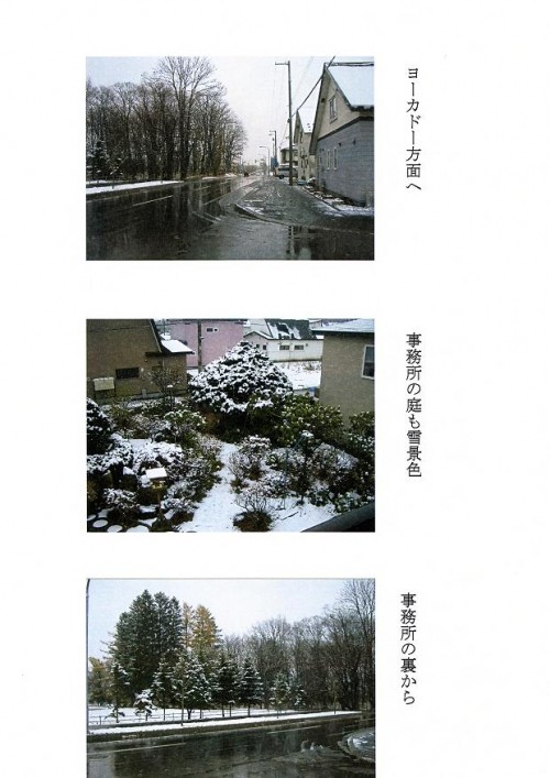 雪化粧