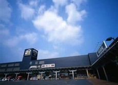 にゃ~チュラル ジョイフルエーケーさんで好評販売中