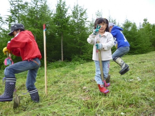 植樹祭　Byとかちの木で家をつくる会　