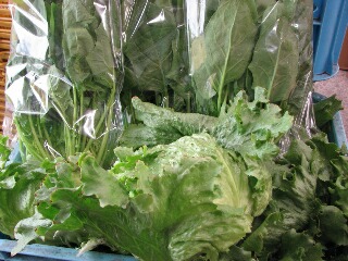美味しい野菜