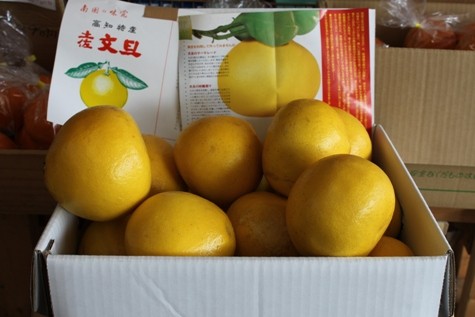 文旦入荷しました