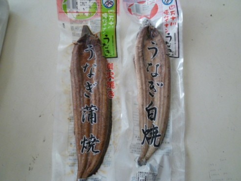 四万十のウナギ入荷