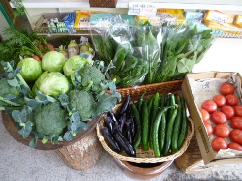 本日入荷の野菜