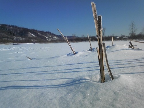 冬の釣り！…自然観察会15日（土）