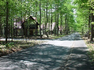 もう見ました！